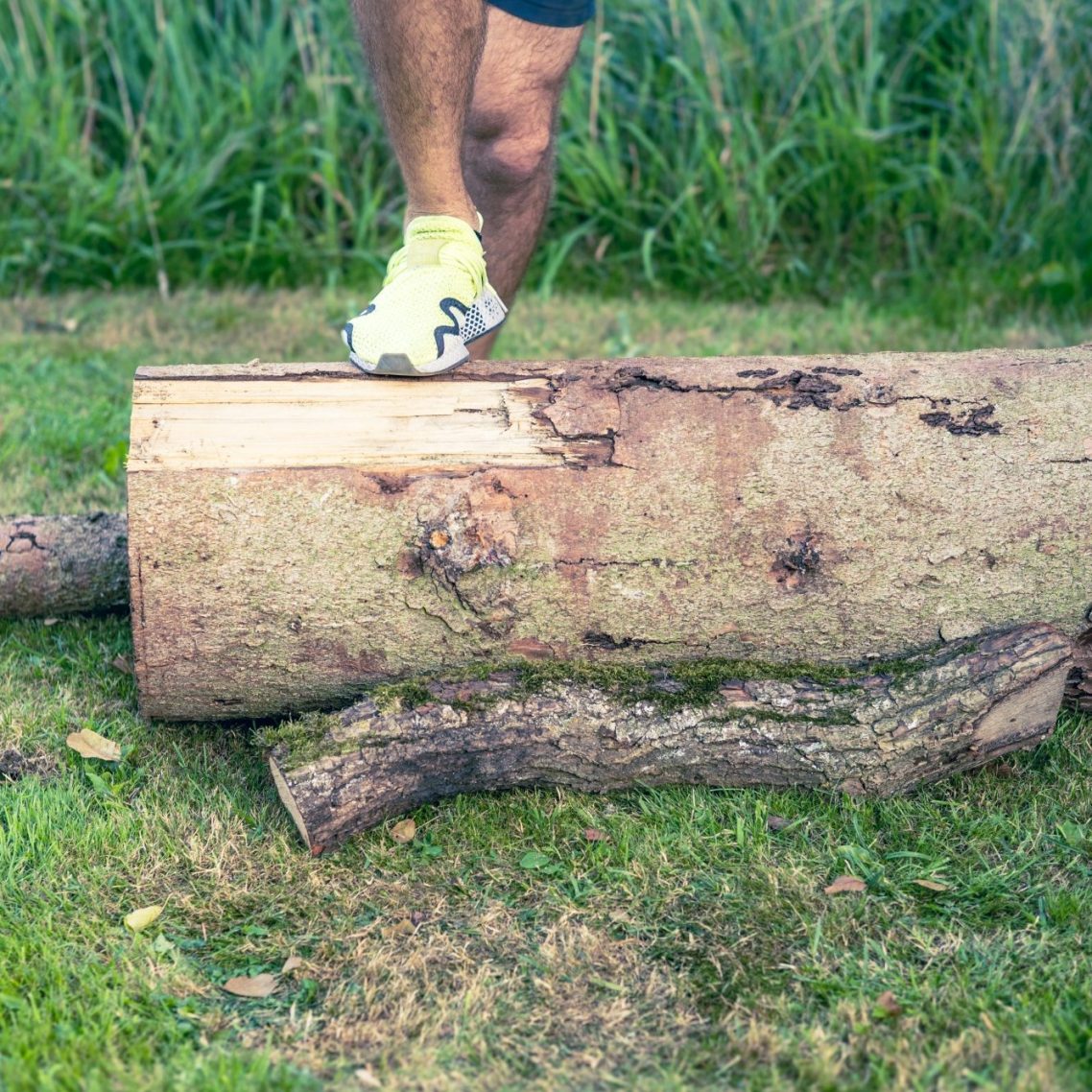 Jemand steht auf einem dicken Holzstamm mit grünem Gras im Hintergrund.